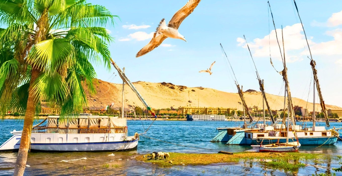 Egypt Nile Cruise Tips